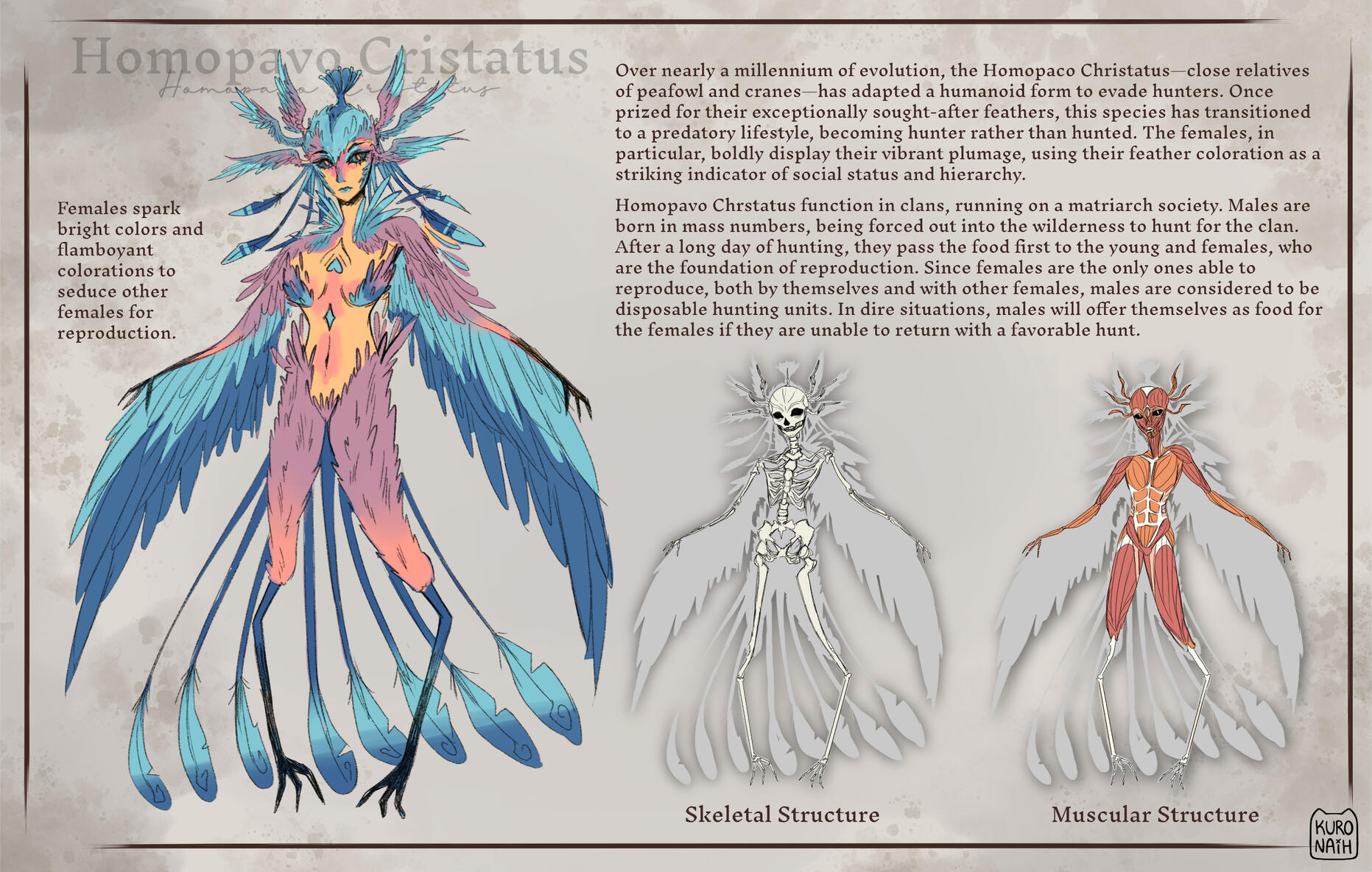 Bestiary Collection: Homopavo Cristatus